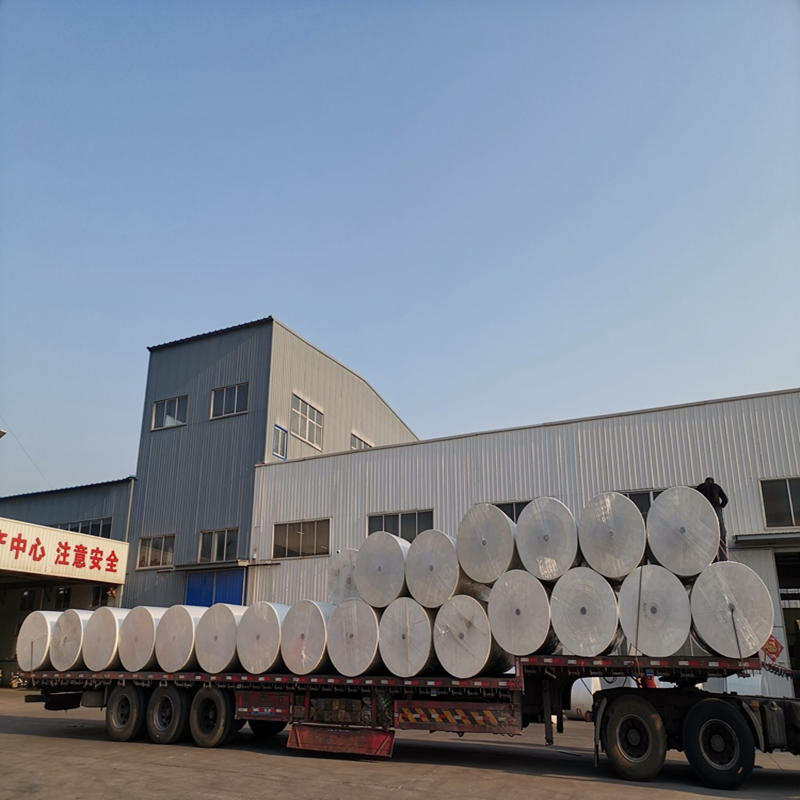 Water Resistant Fiberglass Fabric Polyester Felt for Asphalt Roll Roofing