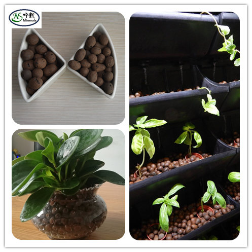 Ebb Flow System Growing Media Aquaponics Expanded Clay