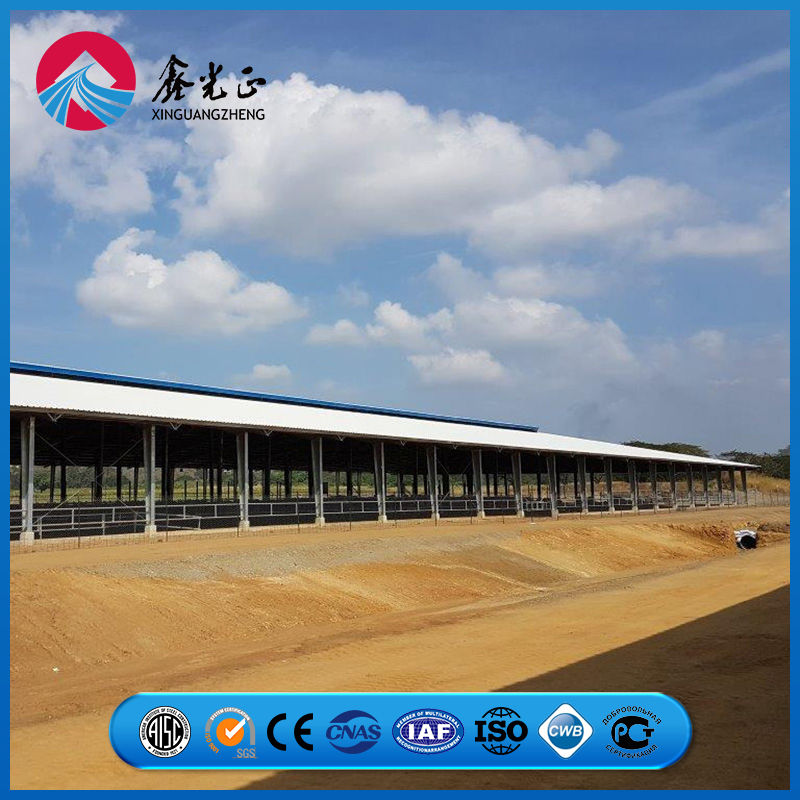 Reinforced Joint Steel Frame Assembly System Chicken Prefab Metal Storage Farming Equipment Steel Structure Sheep/Goat/Pig/Hog/Cattle/Cow/Poultry House/Shed