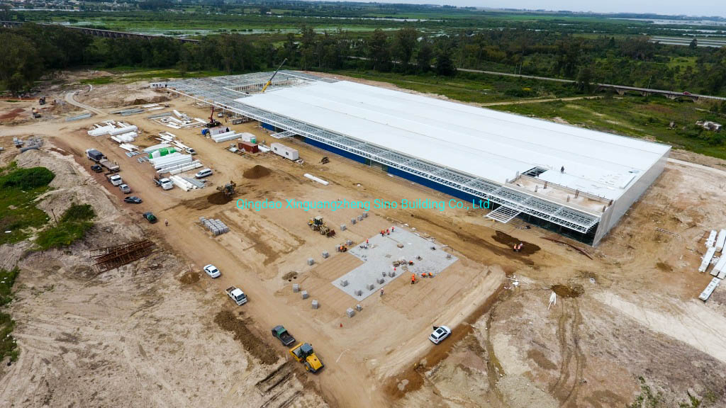 Steel Structure Shopping Mall Supermarket Building