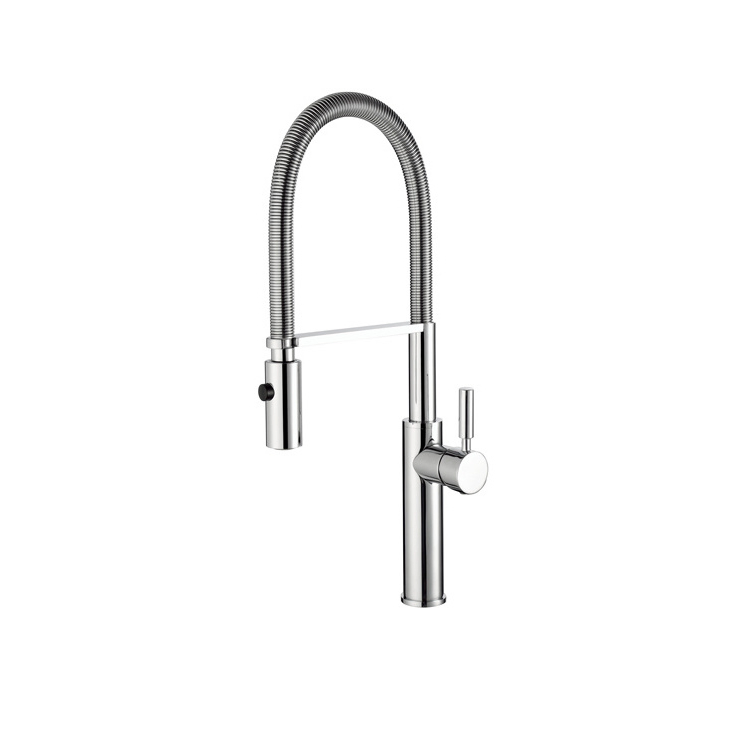 Brass Kitchen Faucet with Stainless Steel Spring with Sprayer Single Handle