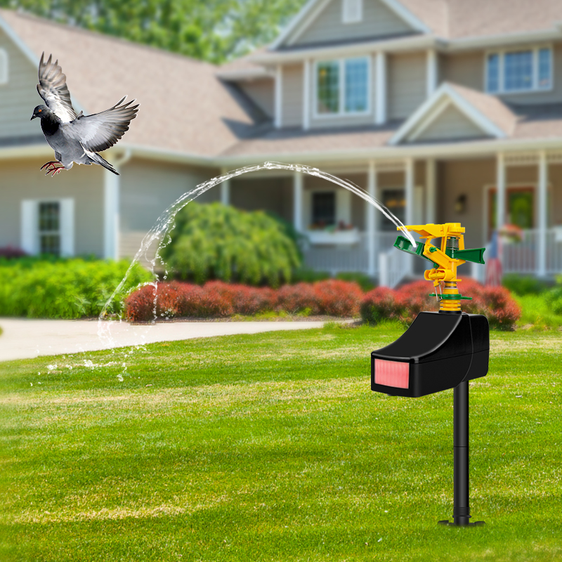 Effective Outdoor Pigeon Control Repeller for Cat Dog Bird Marten with Sprinkler