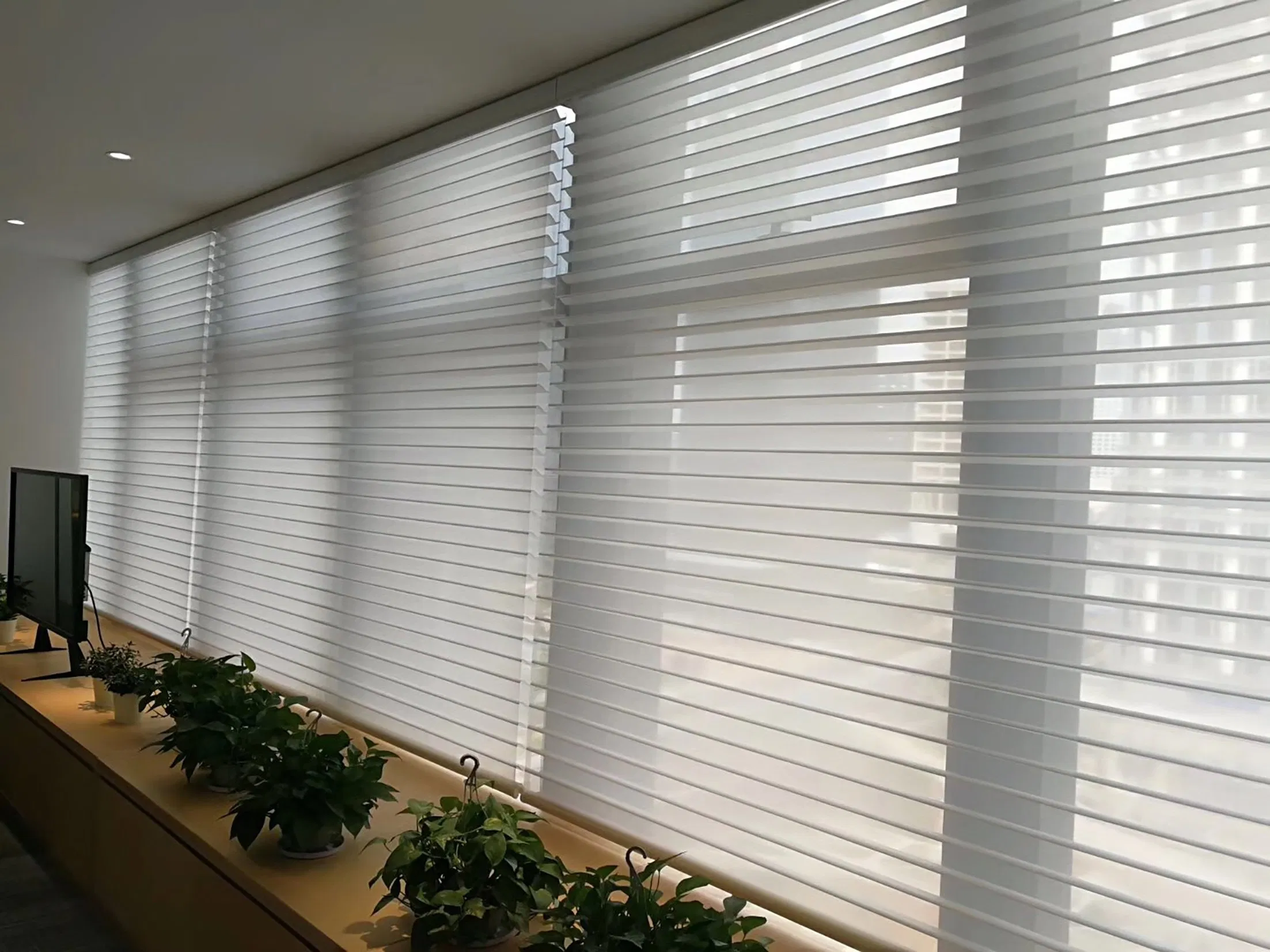 Light-Filtering Window Shades Shangri-La Triple Shade