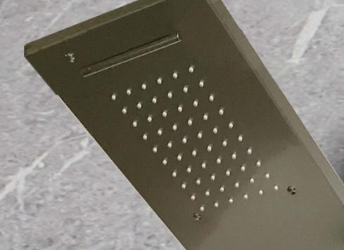 Brushed Color Wall Mounted Multifunction Stainless Steel Shower Panel