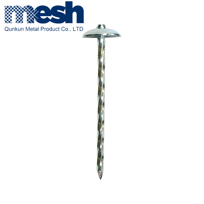 Galvanized Roofing Nails with Flat Head