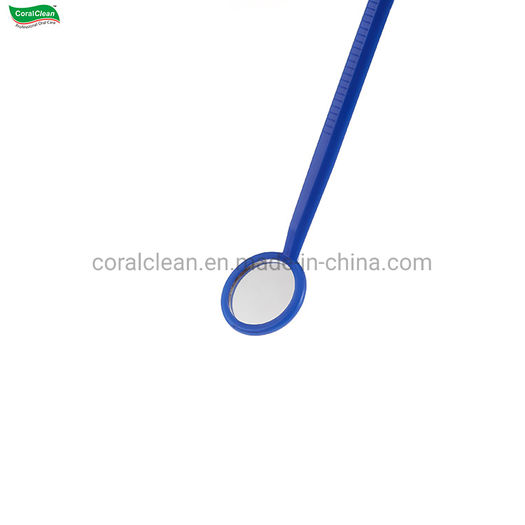 Oral Hygiene Cleaning Home Hotel Travel Dental Orthodontic Kit