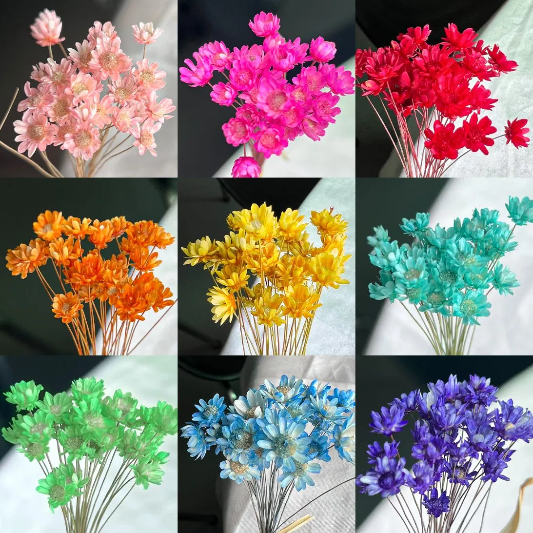 New Style Lip Oil Skin Care Fashion Makeup Gift High Quality Vegan