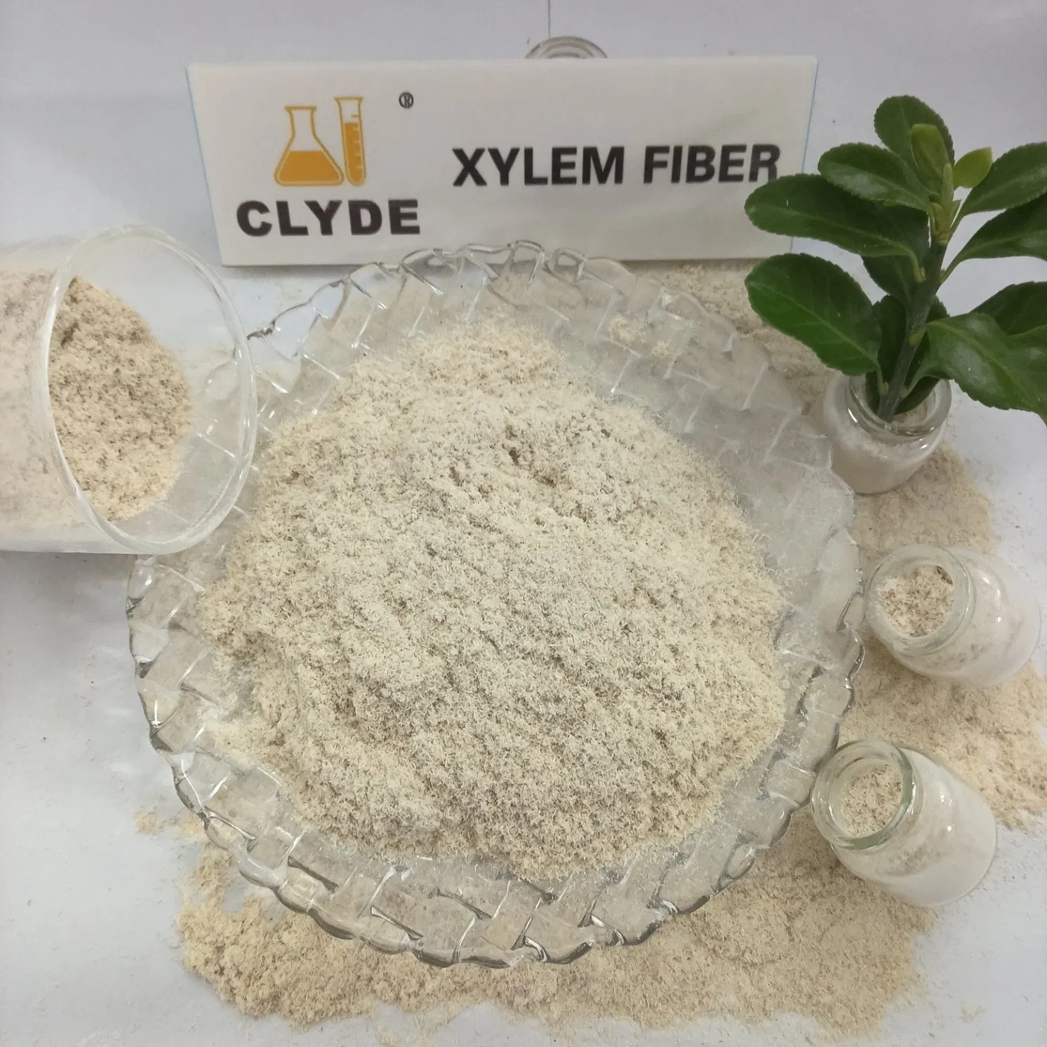 Building Materials Additive Neutral pH Wood Cellulose Fiber Paint Coating and Asphalt Materials Gelling Agent Xylem Fiber