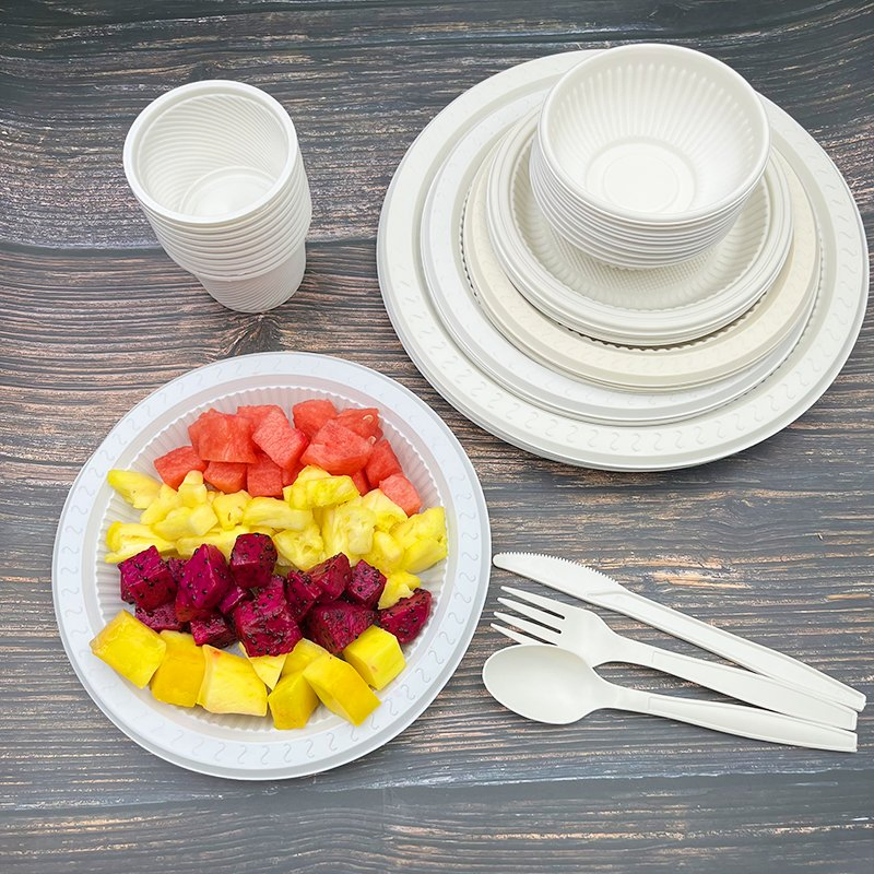Water-Proof Biodegradable Plates 10 Inch Salad Catering White Round Plate