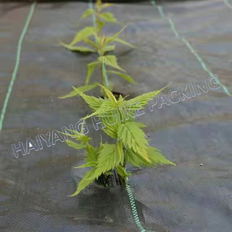 Weed Mat Weedingmat Roll with 90GSM 100GSM Agriculture Ground Cover