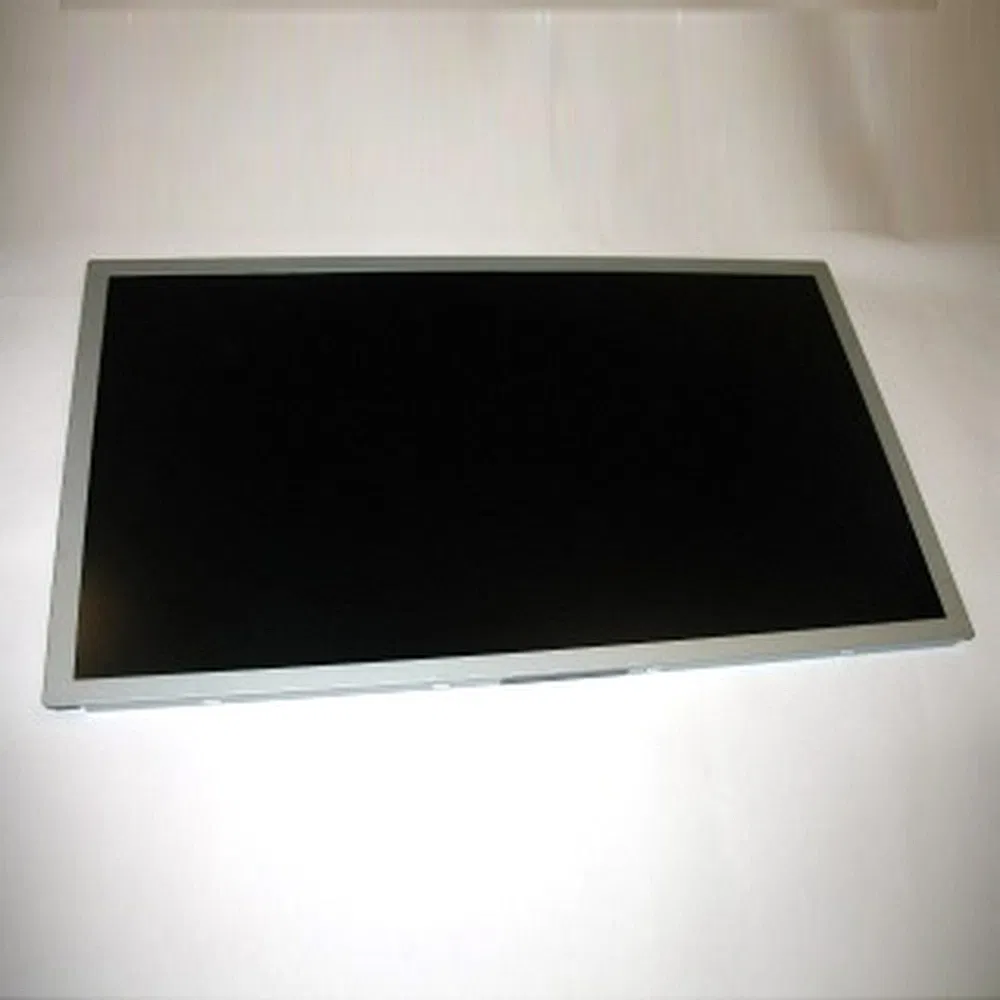 Industrial Lq156m1LG21 Tn TFT LCD Panel Graphic View Module for Outdoor Terminals