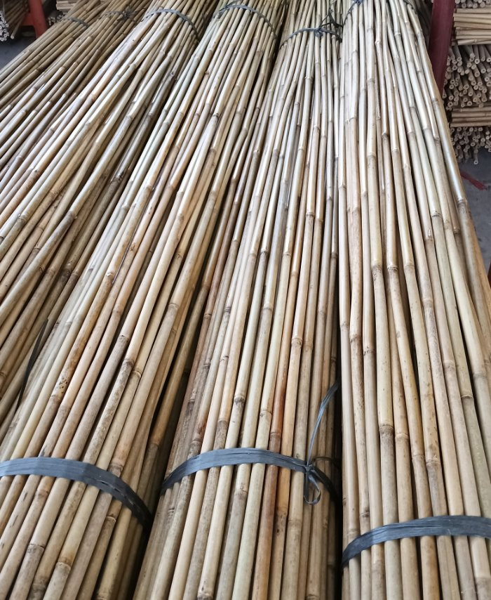Factory Tonkin Bamboo Cane Garden Stake Moso Natural Artificial Raw Bamboo Poles