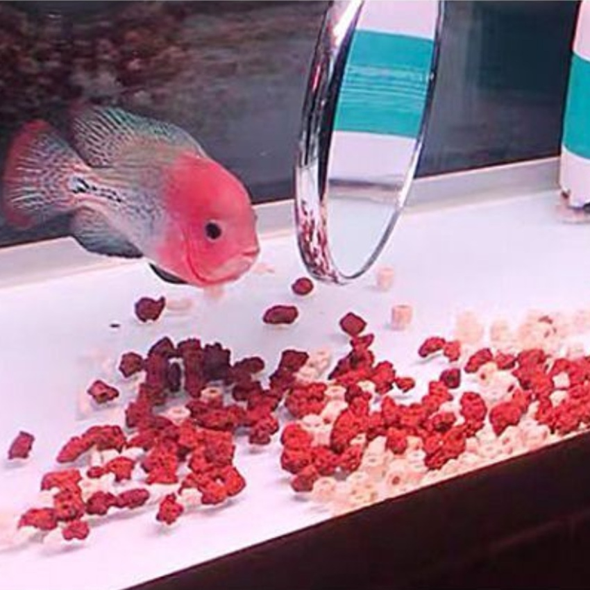 Industrial Grade Volcanic Rock Lava Pumice Rock Stone Loose Volcanic Lava Stone