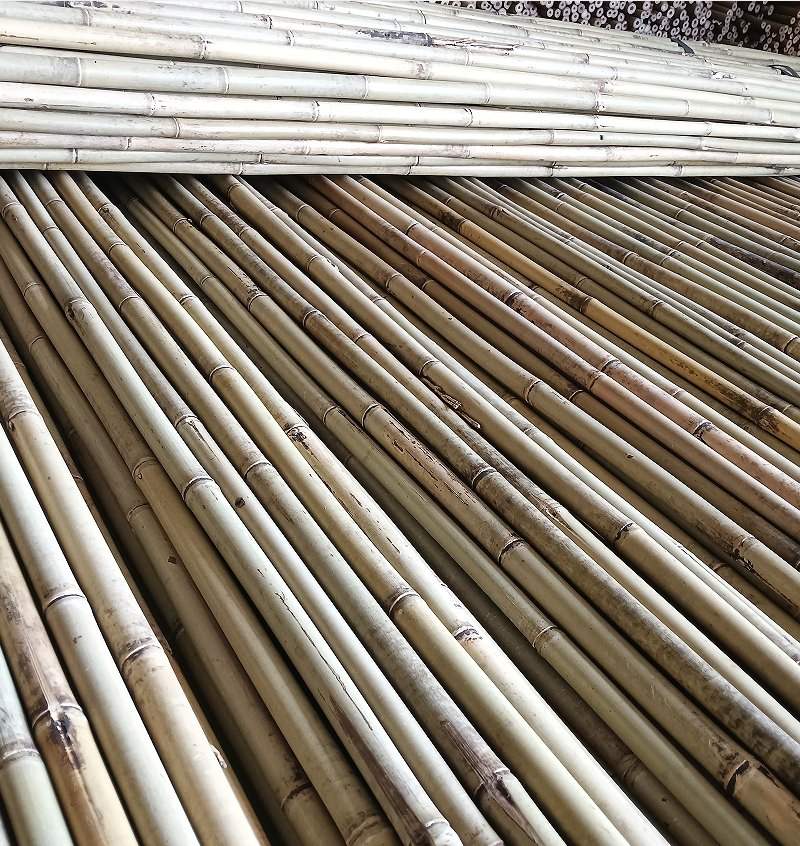 Bamboo Poles for Natural Scaffolding in Gardens/Bamboo Culms