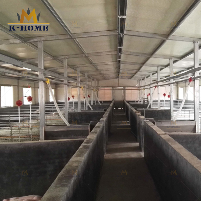 Modern Design Steel Structure Chicken Poultry Breeding Shed Poultry Farm