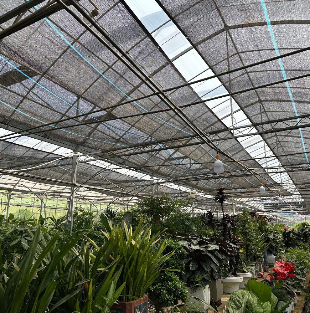 30%-95% Sun Protective Shade Fabric for Greenhouse Farming