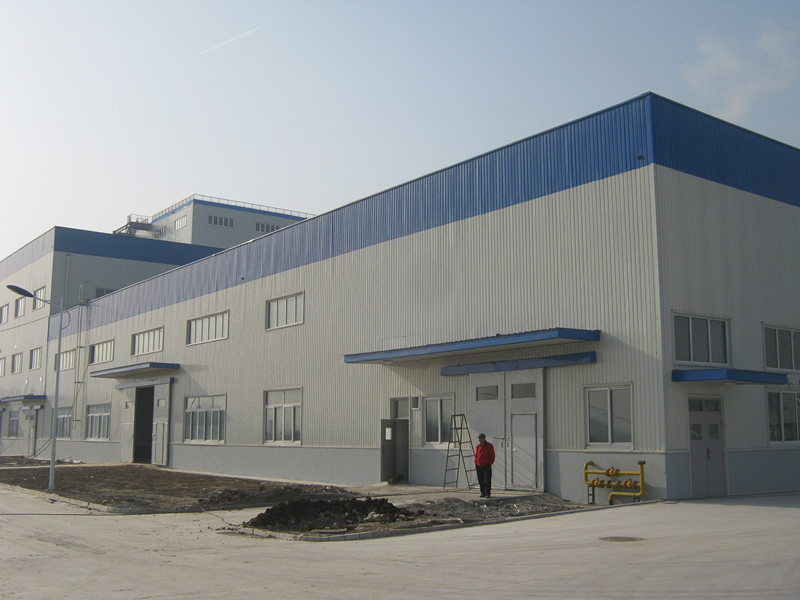 Wind Proof Steel Structure/Plant/Garage Building