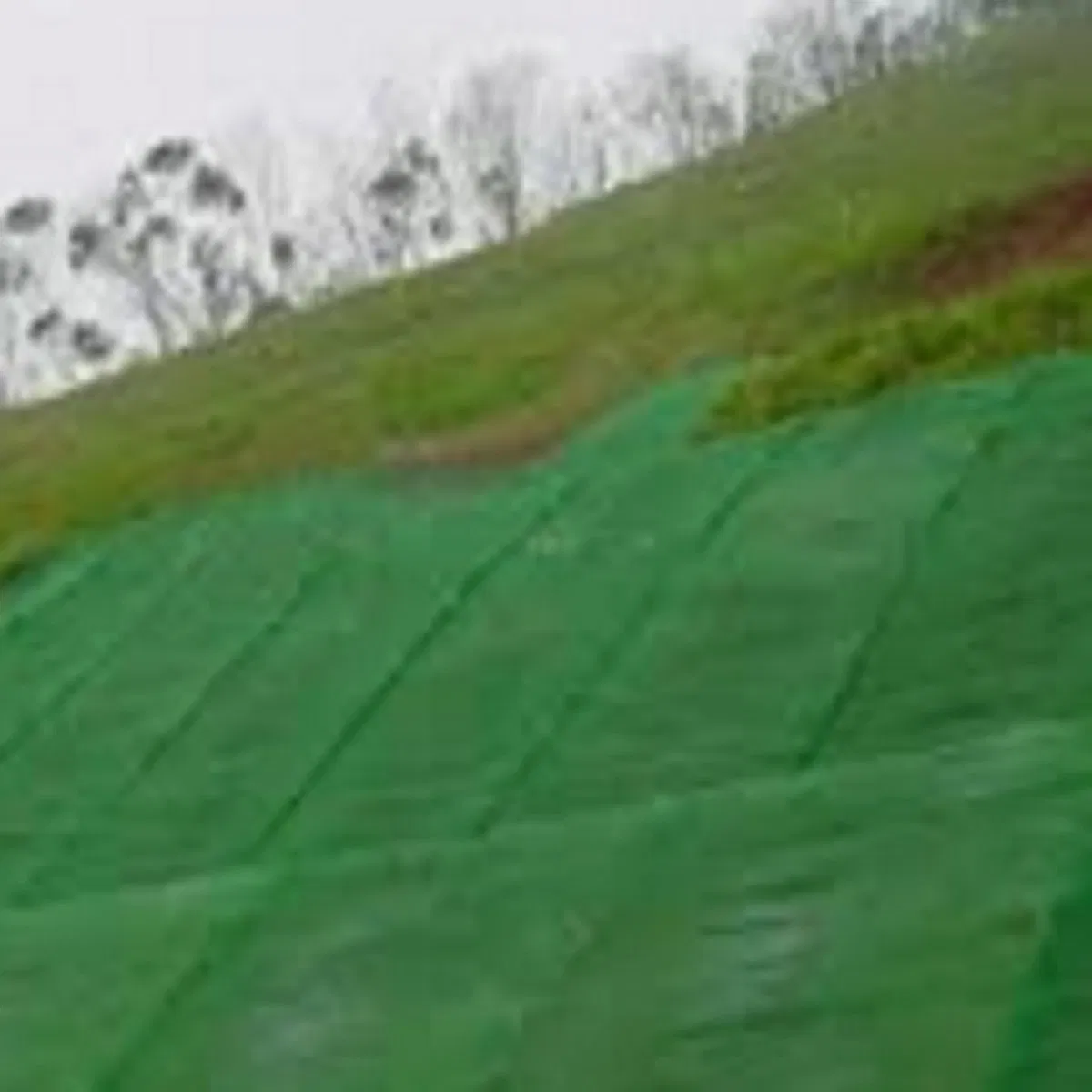 Premium Erosion Control Mat for Grass Growth and Soil Stability