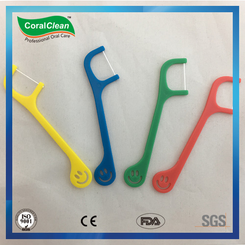 Colorful Toothpick for Kids, Flosspick