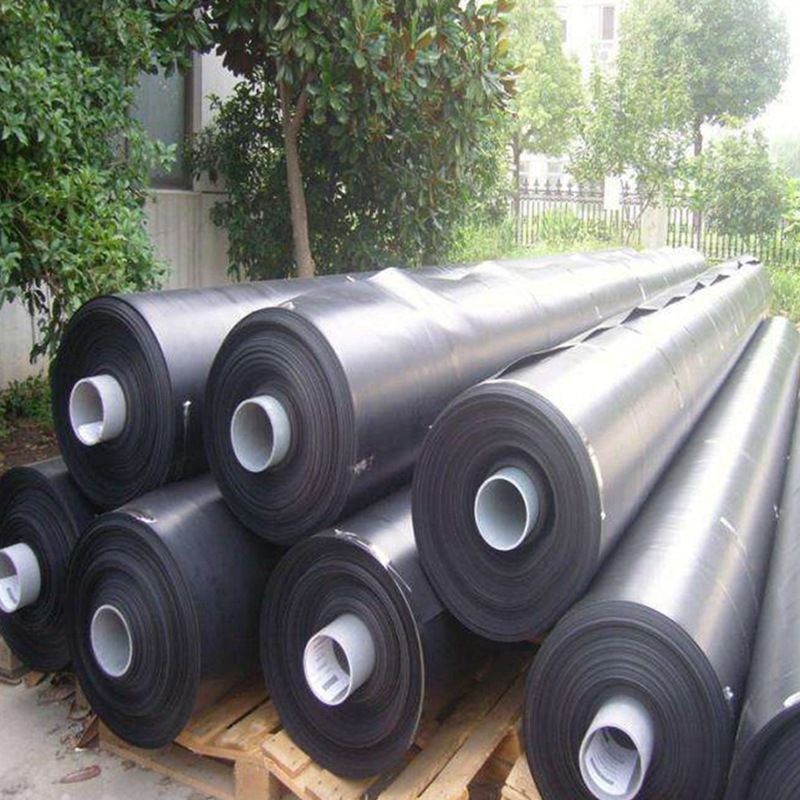 Top Quality HDPE Geomembrane Liner for Fisheries Pond and Artificial Lake