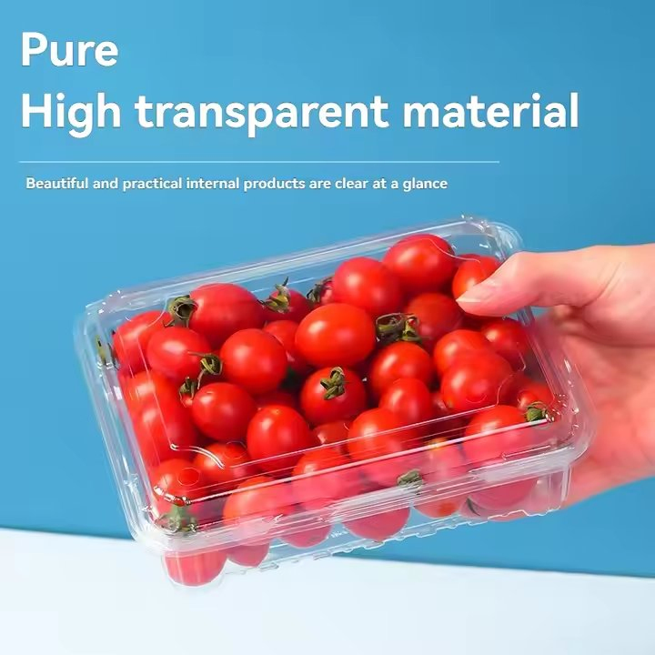 Plastic Plant Pot Suppliers Compostable Per Sushi Box Logo Seaweed Disposable Takeaway
