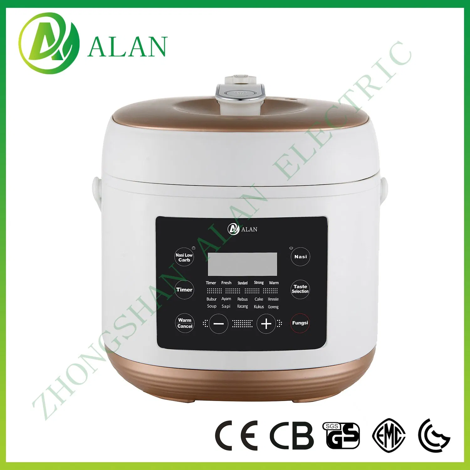 3L Small Size Plastic Housing Mini Electric Pressure Cooker with Handle
