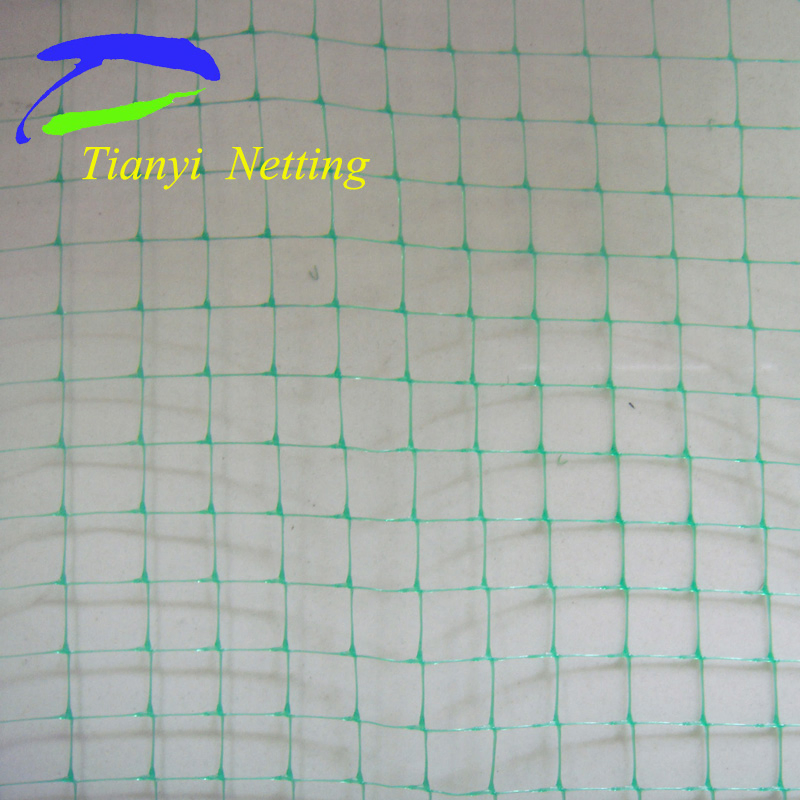 Planting Net/Plant Support Net, to Support Crops as Peas, Beans etc.