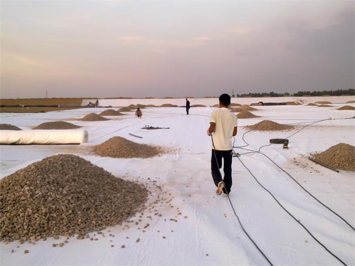 Weather-Resistant White and Black Geotextile of Pet PP