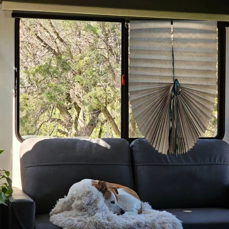 Simple and Environmentally Friendly Curtain That Can Be Cut and Pasted PPR5503