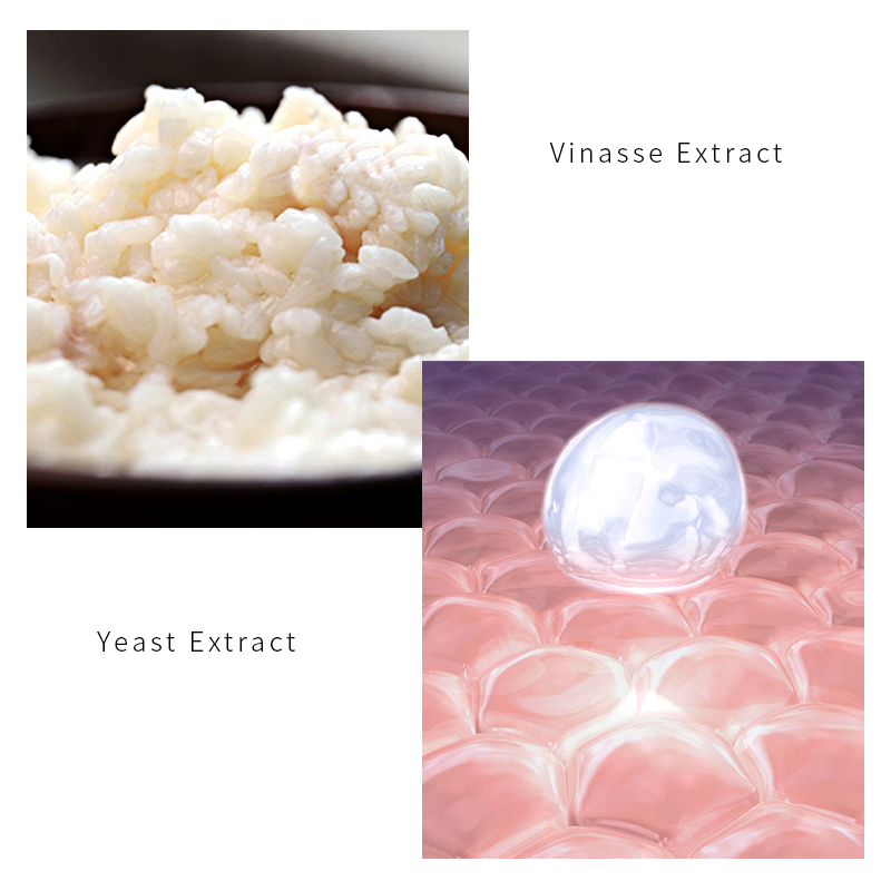 Vinasse Mask Has Strong Whitening Effect. for Beauty Enthusiasts.