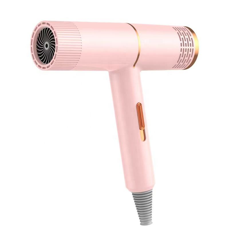 Professional Quick-Dry Hair Dryer for Home and Travel