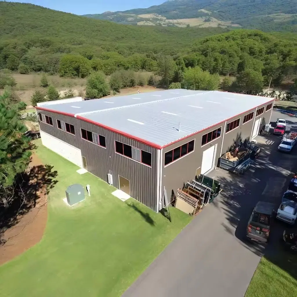 Prefab Best Cost-Effective Industrial Light Steel Structure for Workshop with Canopy Crane