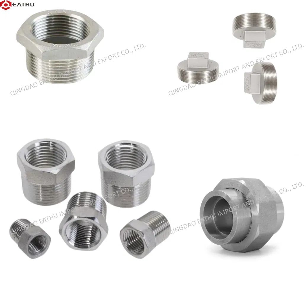 ANSI/DIN/BS Stainless Steel 304/316 Threaded Fitting - Hexagon Bushing