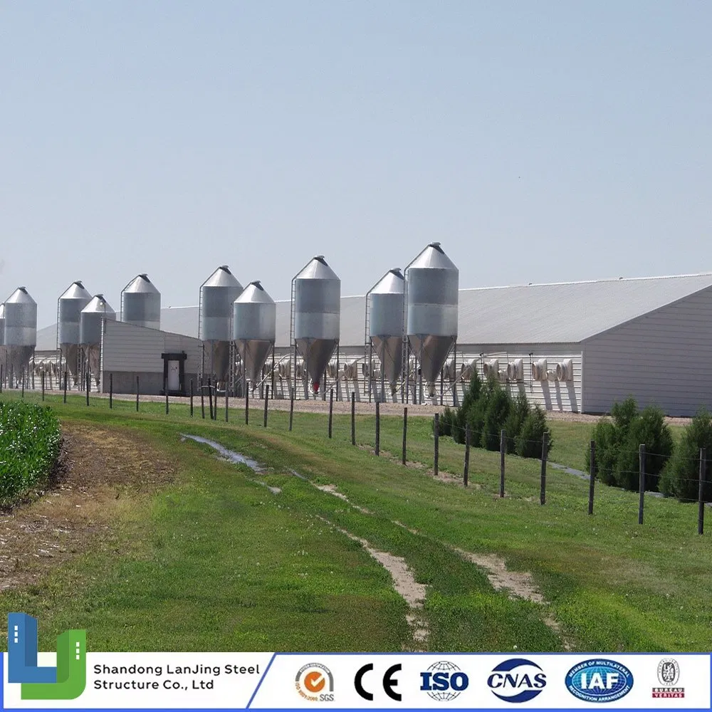 Modern Steel Structure Livestock Goat Cow Shed Pig Shed Prefabricated Building for Guyana/Indonesia/Philippines