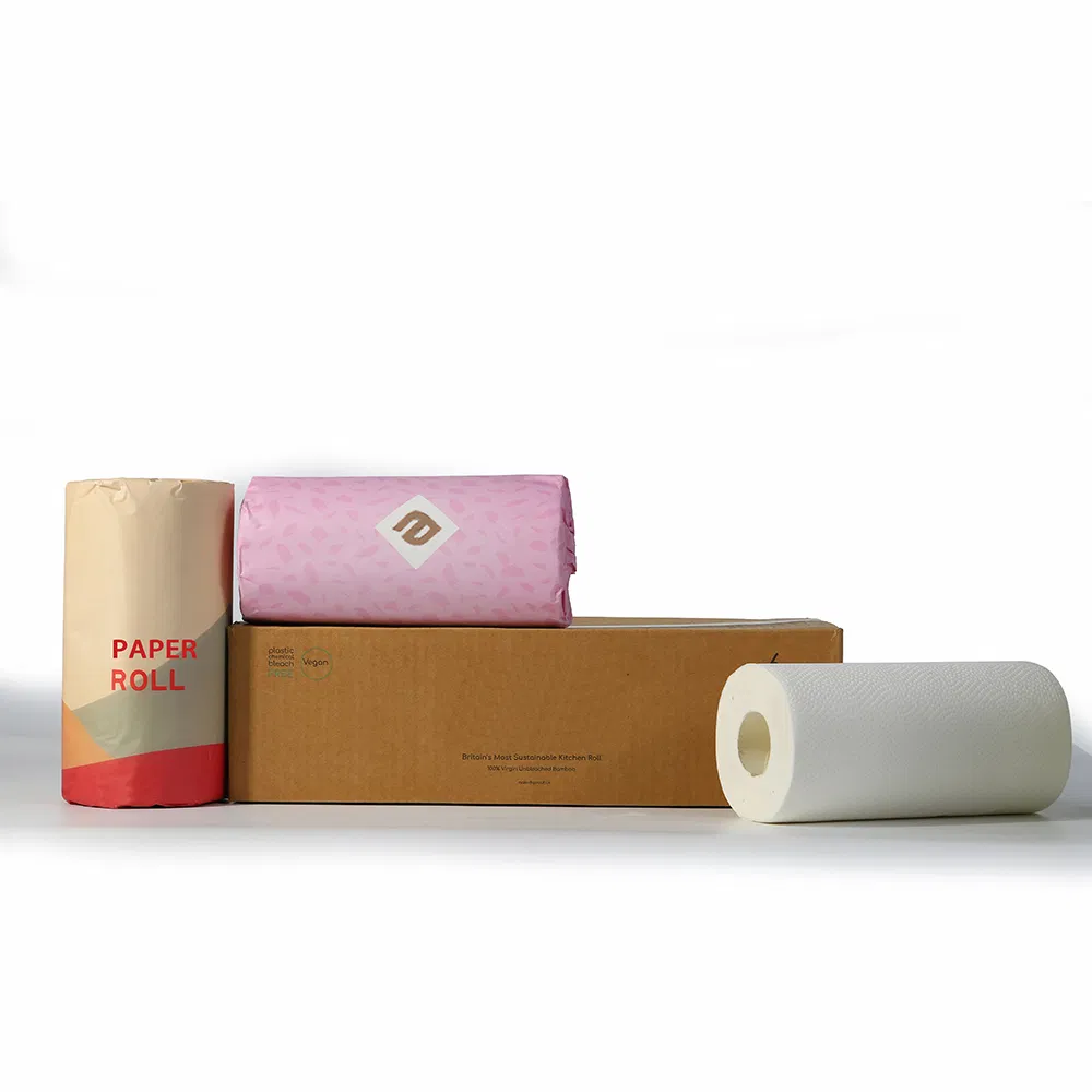 2024 Soft Skin Cheapest Kitchen Towel Paper