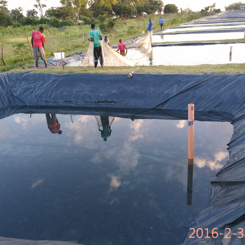 Premium HDPE Pond Liner for Effective Water Containment Solutions Geomembrane