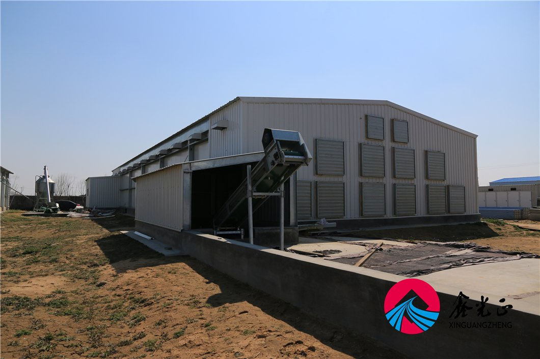 Spacious Durable Steel Chicken House for Optimal Egg Production