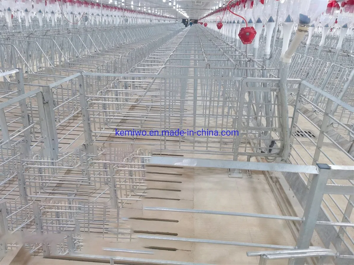 Breeding Equipment Sow Positioning Bar Floor-Standing Single Crate