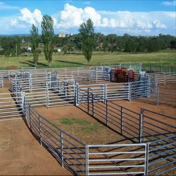 Factory Direct Sales Welded Mesh Breeding Protection Thickened Welded Mesh