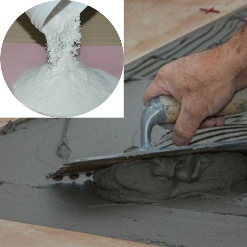 China Factory Seller Vae Dispersion Polymer Powder Rdp in Adhesive Vae Copolymers Glue