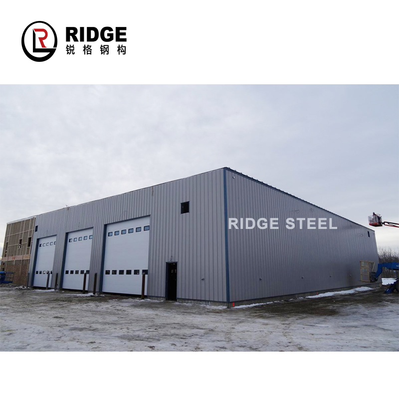 China African Project Build Prefabricated Steel Structure Building Shed Workshop