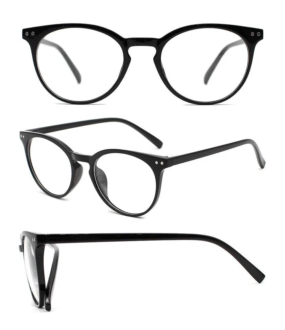 Plastic Front Frame with Metal Temple and Twin Nose Bridge (WRP801015)