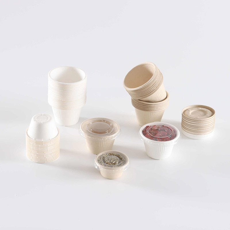 Biodegradable Takeaway Disposable Sauce Cup Food Container
