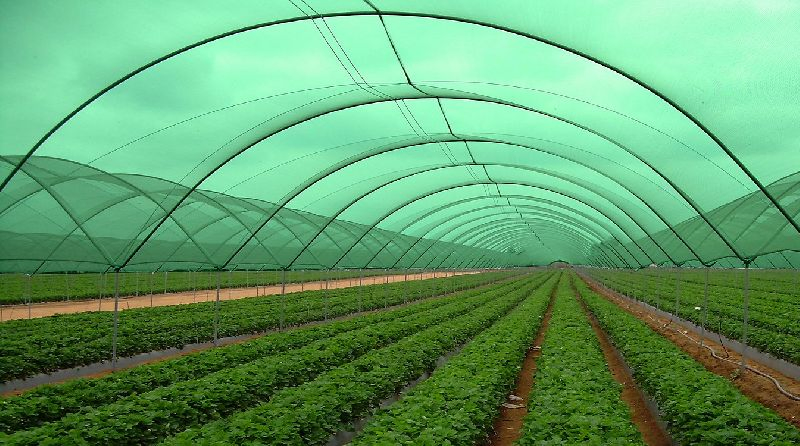 Factory Direct Wholesale Price 100% HDPE Sun Shade Net Mesh Cloth Knitted Agro Shading Net Greenhouse Shading Mesh Protection Fence Net for Agriculture/Garden
