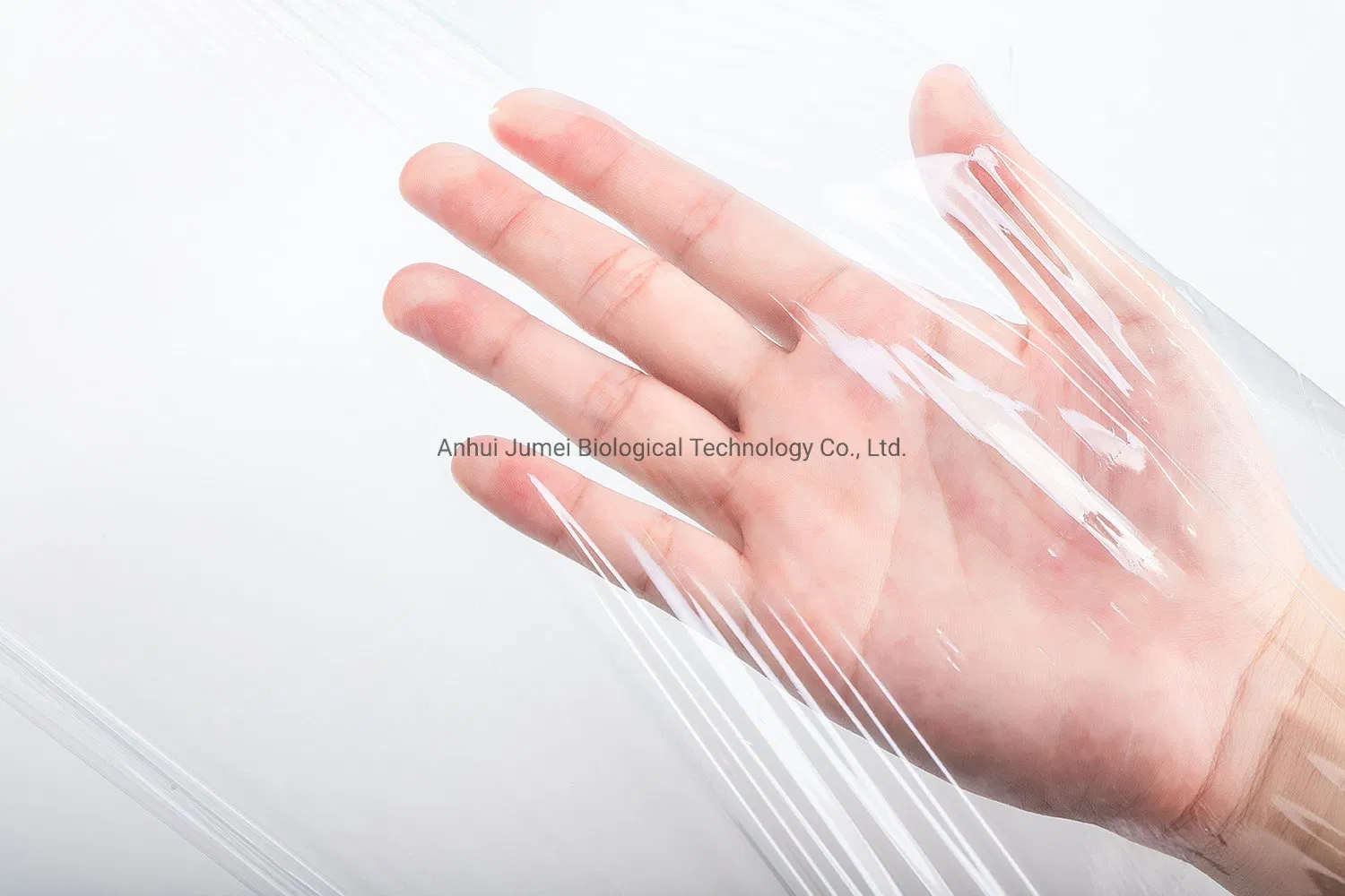 100% Compostable Biodegradable PLA Cling Wrap Film for Food