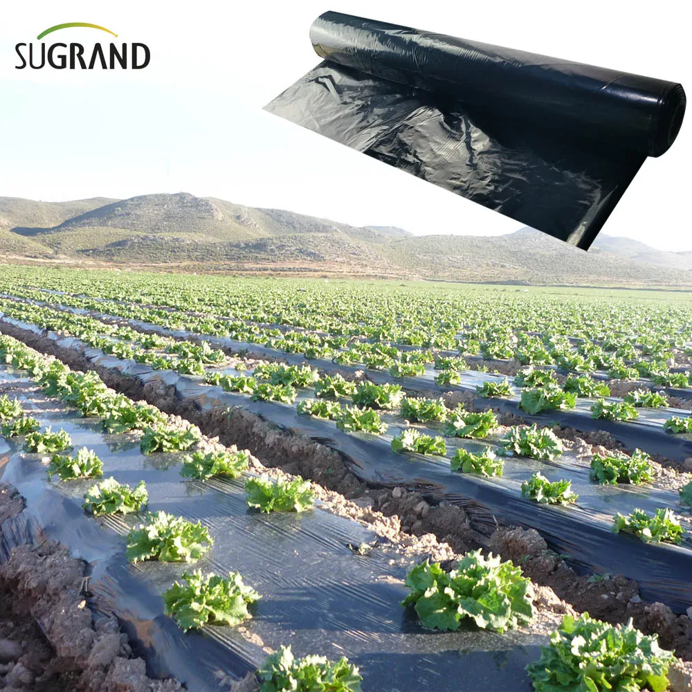 Biotelo Biodegradable Mulch Film Mulching