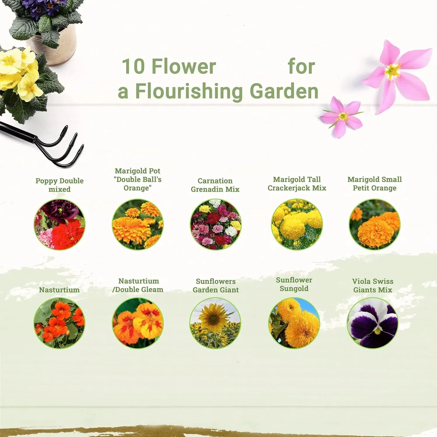Premium Organic Seed Starter Kit with 100 Herb and Flower Varieties