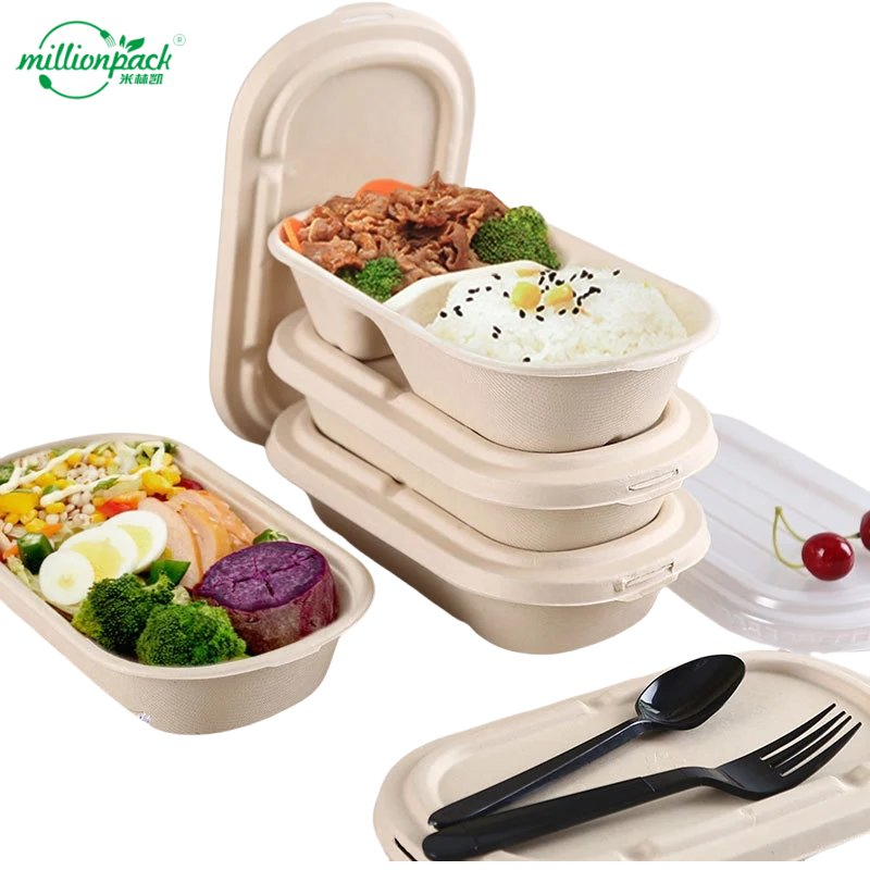 Biodegradable Square Food Box with Hinged Lid for Easy Opening and Closing