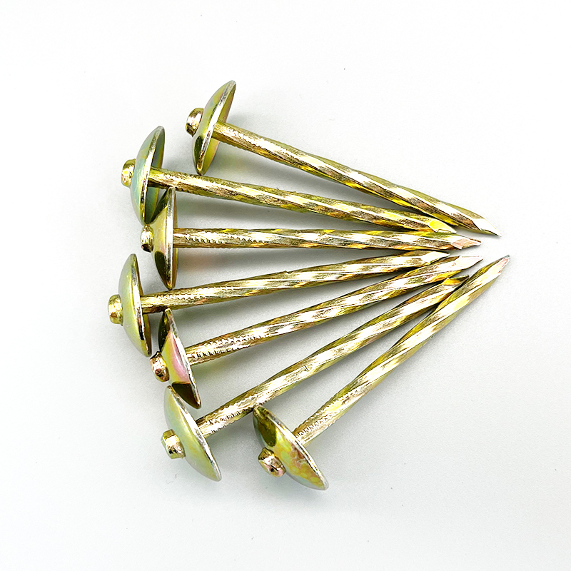 Ring Shank Nails Galvanized Roofing Nail Construction Building Quick Quotation