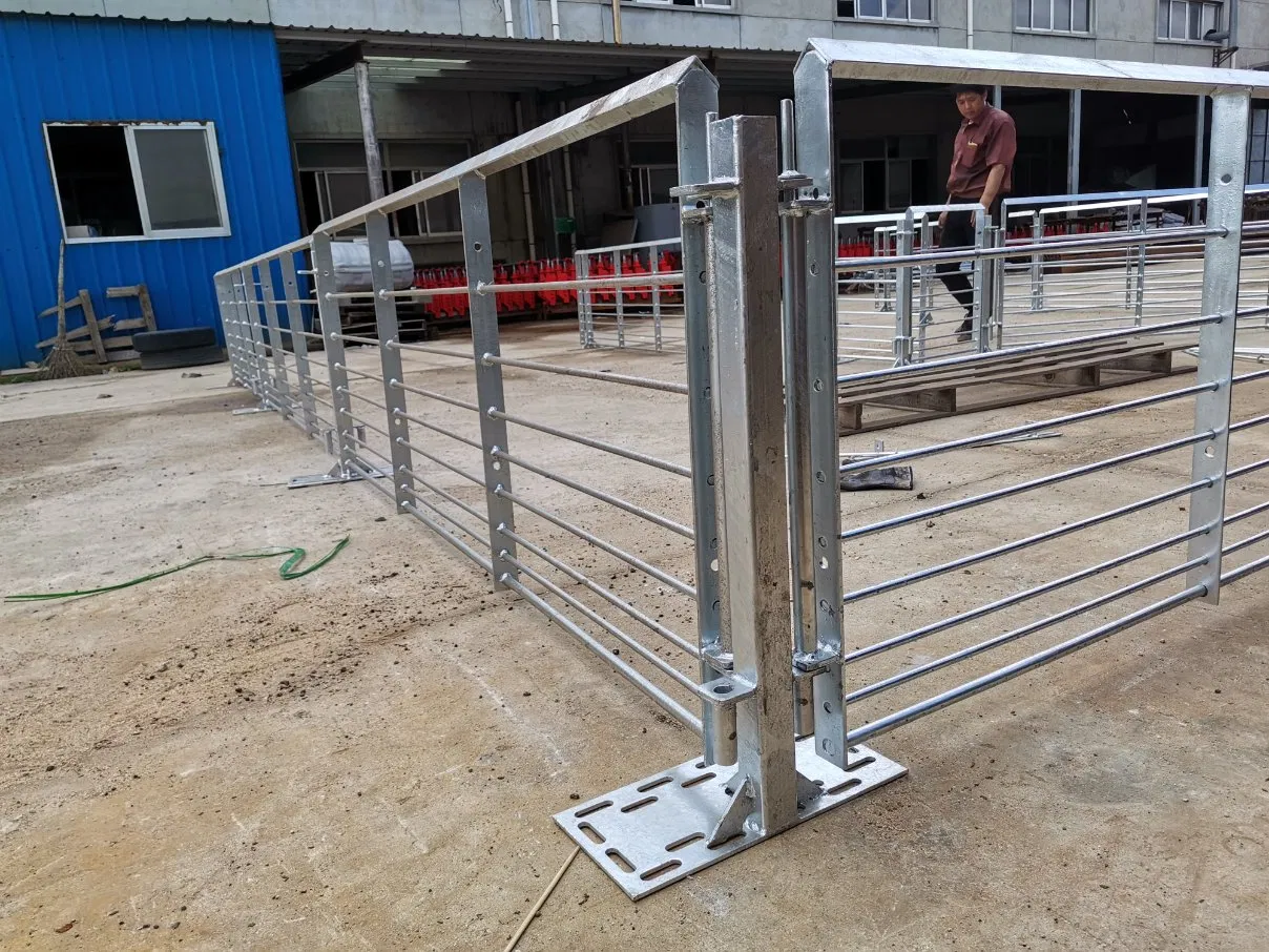 Pig Farm Fattening Pen Finishing Cage Stainless Steel